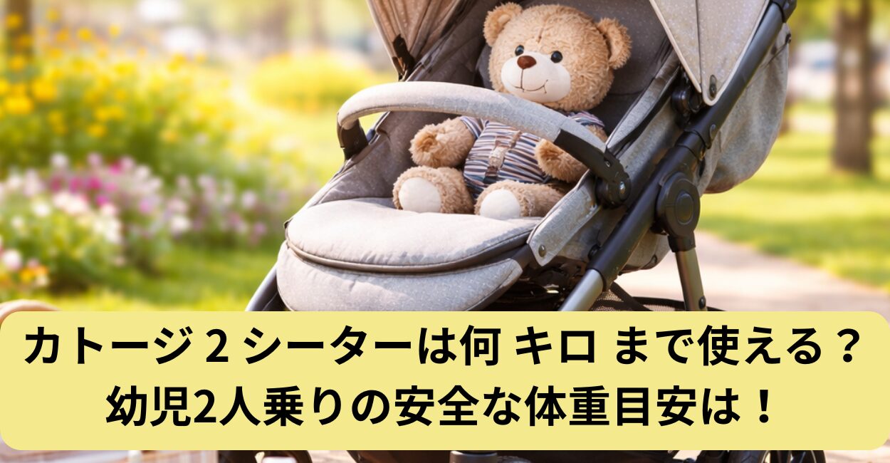 カトージ 2 シーターは何 キロ まで使える？幼児2人乗りの安全な体重目安は！